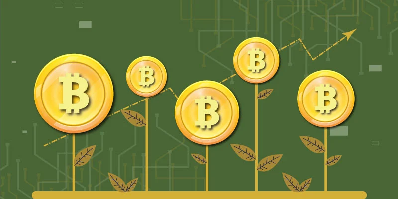 What is Bitcoin coins growing like plants with an upward trend line, symbolizing cryptocurrency investment growth